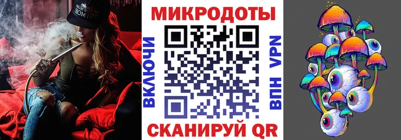 Галлюциногенные грибы Psilocybe  купить закладку  Юрга 