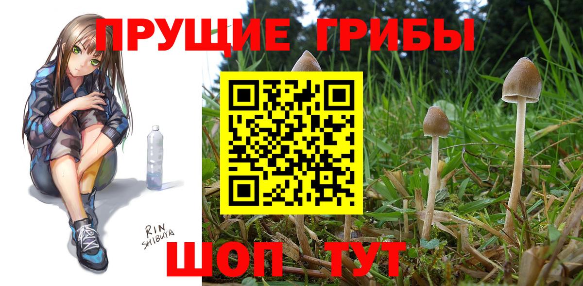 Галлюциногенные грибы ЛСД Юрга