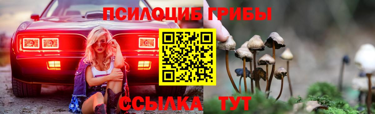 Псилоцибиновые грибы Psilocybine cubensis  Вход с VPN  закладки  Юрга 
