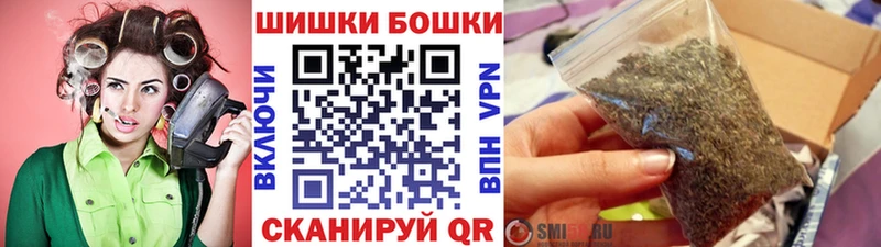 Каннабис сатива  наркотики  Юрга 